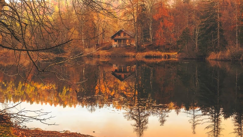 Treehouse Cabin